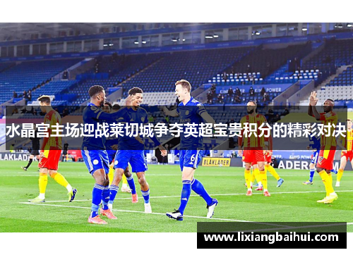 水晶宫主场迎战莱切城争夺英超宝贵积分的精彩对决